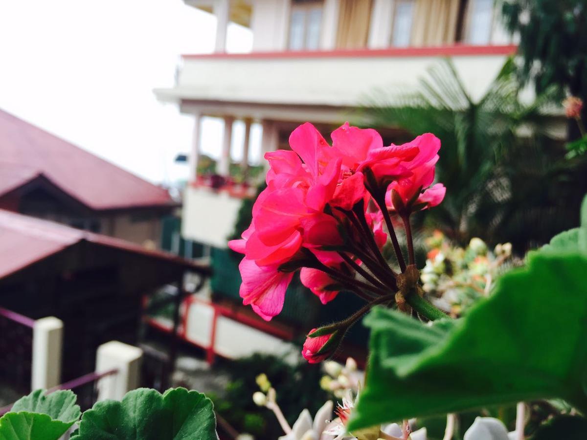 Deki Lodge Kalimpong Exterior foto